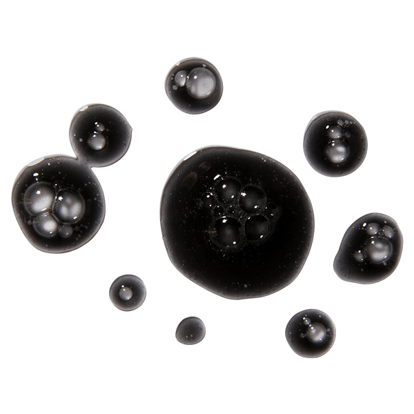ERBORIAN Black Cleansing Oil