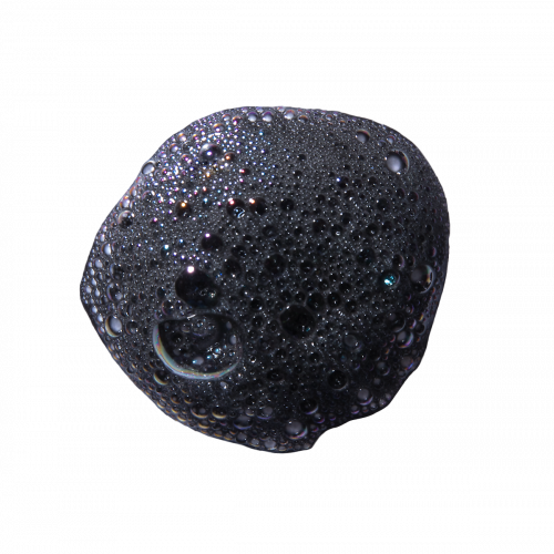 ERBORIAN Black Charcoal Mousse