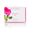 Acca Kappa Viriginia Rose