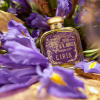 Santa Maria Novella L'IRIS 100 ml.