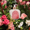 Santa Maria Novella Cream ROSA NOVELLA