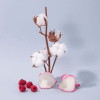 COMPAGNIE DE PROVENCE Fleur De Coton Cotton Flower Moisturizing Hand and Body Lotion 300 ml.