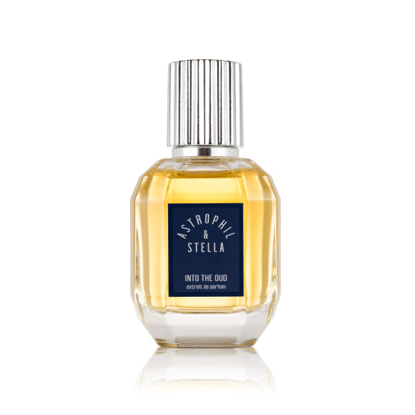 ASTROPHIL & STELLA INTO THE OUD