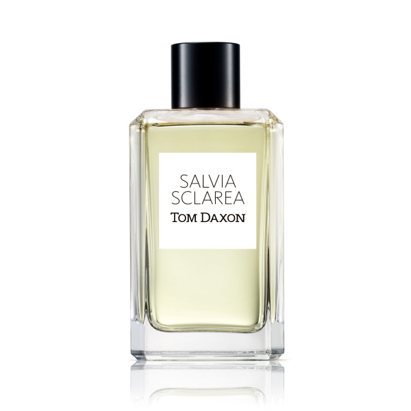 TOM DAXON SALVIA SCLAREA