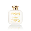 Santa Maria Novella Cologne CINQUANTA