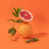 COMPAGNIE DE PROVENCE Pamplemousse Rose Pink Grapefruit Hand Cream 30 ml.