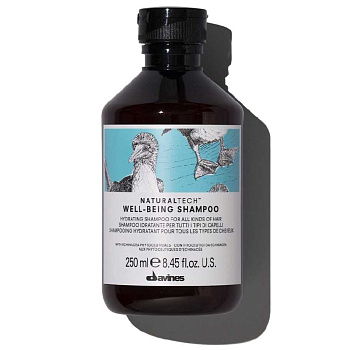 DAVINES NT Well-Being Shampoo