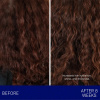 Augustinus Bader The Shampoo
