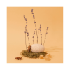 COMPAGNIE DE PROVENCE Anise Lavender Fragrance Diffuser 220 ml.
