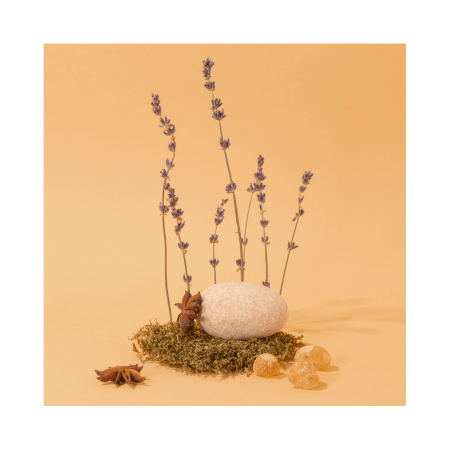 COMPAGNIE DE PROVENCE Anise Lavender Fragrance Diffuser 220 ml.