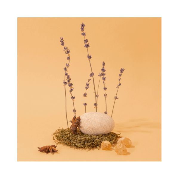 COMPAGNIE DE PROVENCE Anise Lavender Fragrance Diffuser 220 ml.