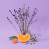 COMPAGNIE DE PROVENCE Lavande Aromatique Aromatic Lavender Liquid Marseille Soap 300 ml.