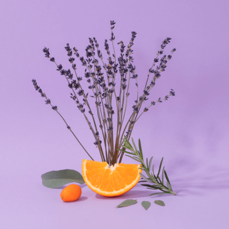 COMPAGNIE DE PROVENCE Lavande Aromatique Aromatic Lavender Liquid Marseille Soap 300 ml.
