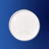 Augustinus Bader The Scalp Treatment