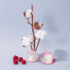 COMPAGNIE DE PROVENCE Fleur De Coton Cotton Flower Liquid Marseille Soap 1000 ml.