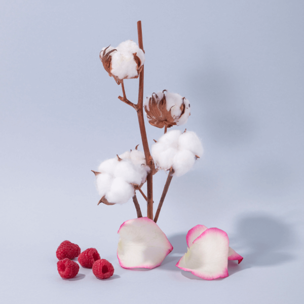 COMPAGNIE DE PROVENCE Fleur De Coton Cotton Flower Liquid Marseille Soap 1000 ml.