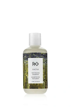 R+Co CACTUS Texturizing Shampoo